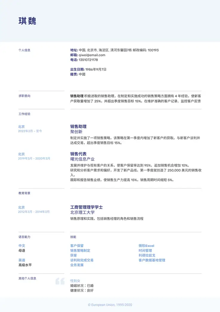 CV template 欧洲